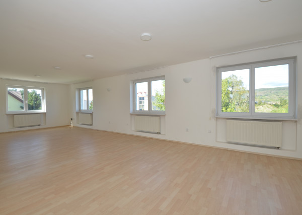 Celá budova kúsok od KJG. Veľké parkovisko. Možnosť bývania.