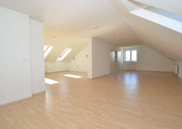 Celá budova kúsok od KJG. Veľké parkovisko. Možnosť bývania.