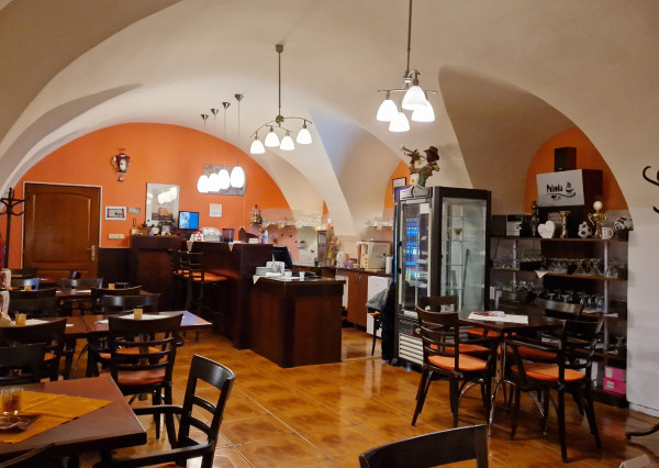 Obchodné priestory v centre s dvorom 120m2 a garážou. TOP PONUKA