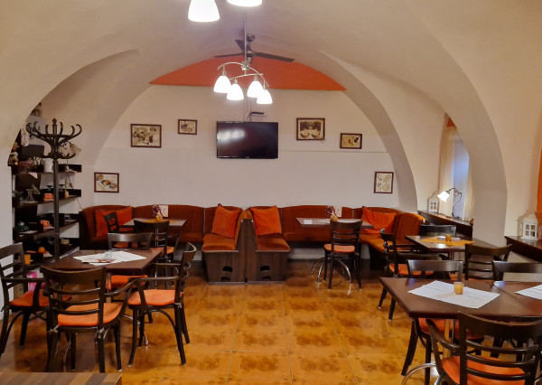 Obchodné priestory v centre s dvorom 120m2 a garážou. TOP PONUKA