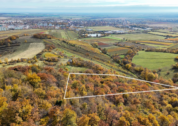 Pekný lesný pozemok kúsok od vyhliadky Vimperk