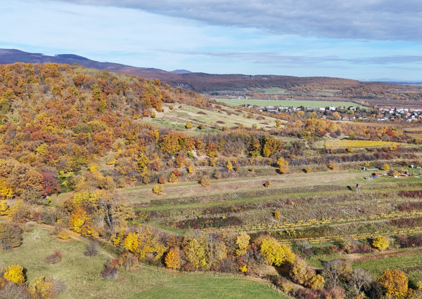Pekný lesný pozemok kúsok od vyhliadky Vimperk