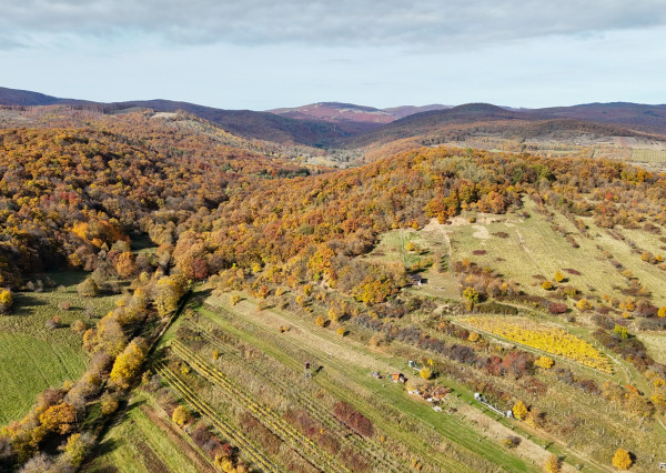 Pekný lesný pozemok kúsok od vyhliadky Vimperk