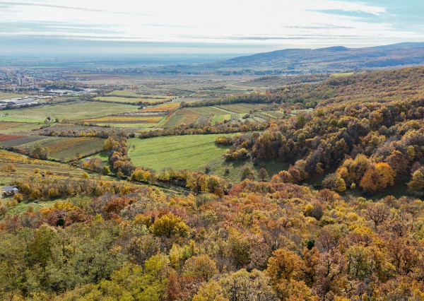 Pekný lesný pozemok kúsok od vyhliadky Vimperk