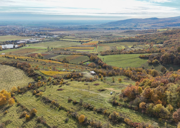 Pekný lesný pozemok kúsok od vyhliadky Vimperk