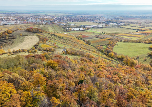 Pekný lesný pozemok kúsok od vyhliadky Vimperk