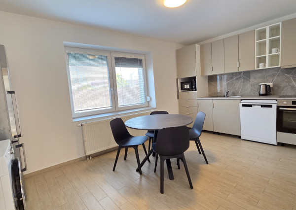 Veľký 1,5-izb byt s terasou a súkromným parkovaním. V cene internet aj energie