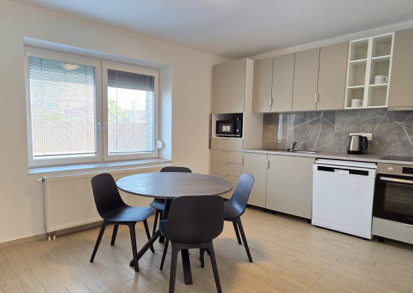 Veľký 1,5-izb byt s terasou a súkromným parkovaním. V cene internet aj energie