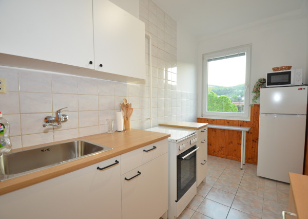 Veľký 1-izbový byt s krásnym výhľadom na Karpaty, Teplická ulica