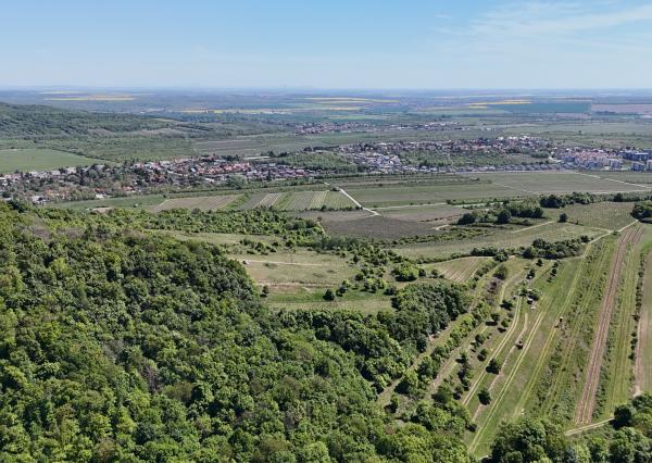 Pekný lesný pozemok kúsok od vyhliadky Vimperk