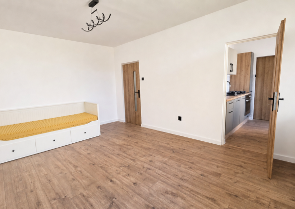 Pekný, veľký 1-izbový byt s klimatizáciou a priestranným balkónom