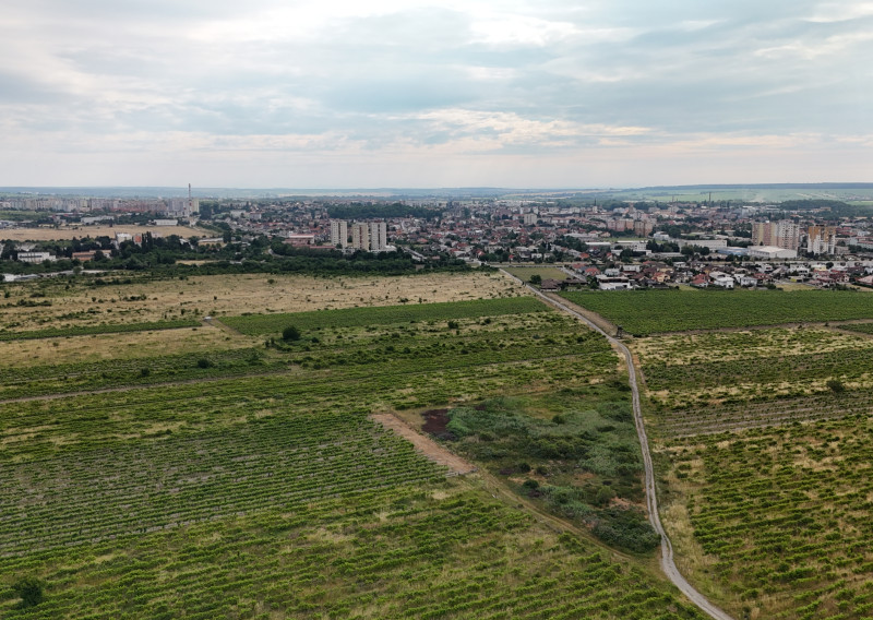 Vinohrad vo vyhľadávanej lokalite medzi Pezinkom a Limbachom