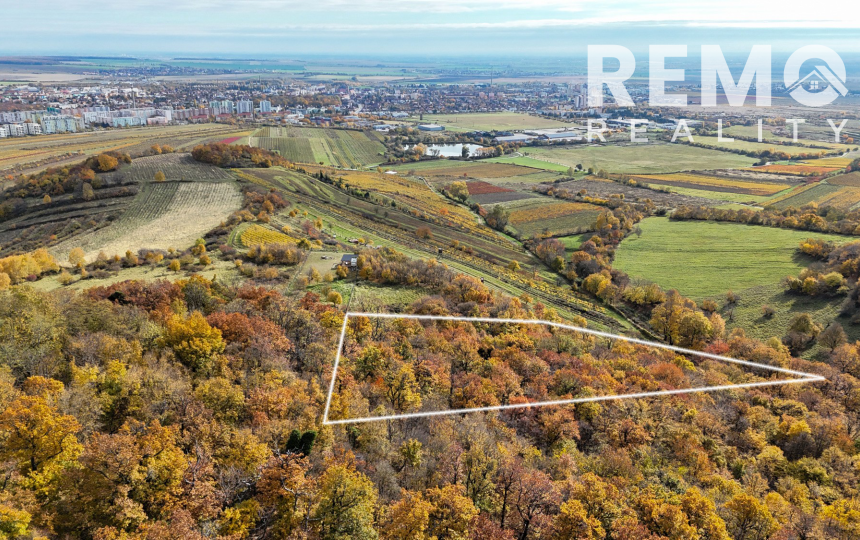 Pekný lesný pozemok kúsok od vyhliadky Vimperk