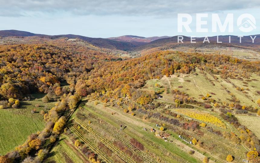 Pekný lesný pozemok kúsok od vyhliadky Vimperk