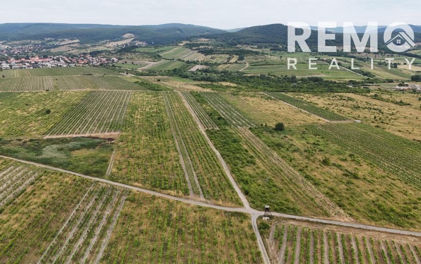 Vinohrad vo vyhľadávanej lokalite medzi Pezinkom a Limbachom